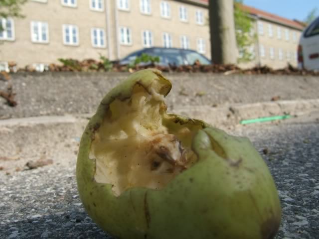 Rotting_Pear