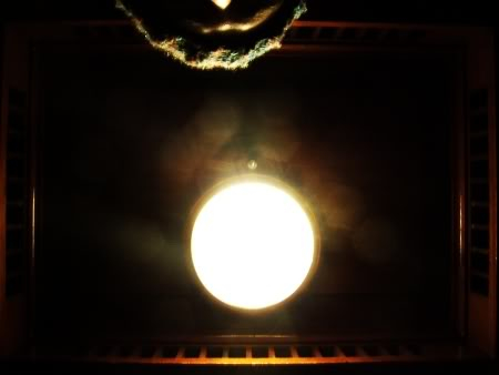 Poesia_Contemporanea_siglo_21