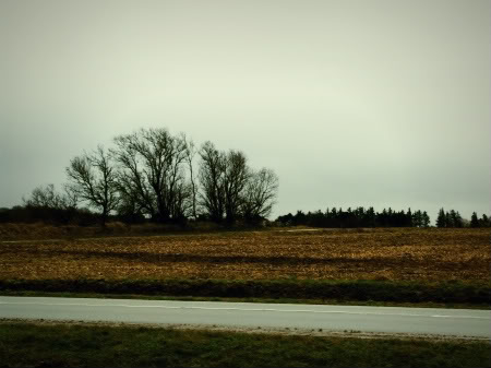 unknown_reverberations_21st_century_poetry