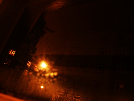 roes_of_light rose poetry