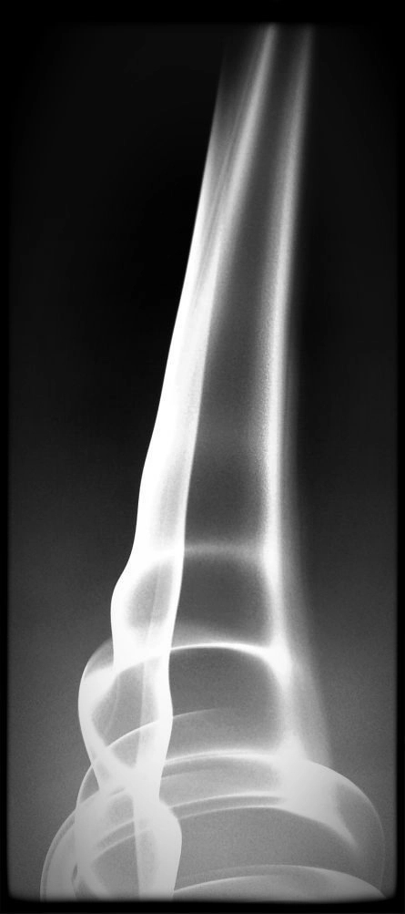 draped_in_echo_21st_century_poetry