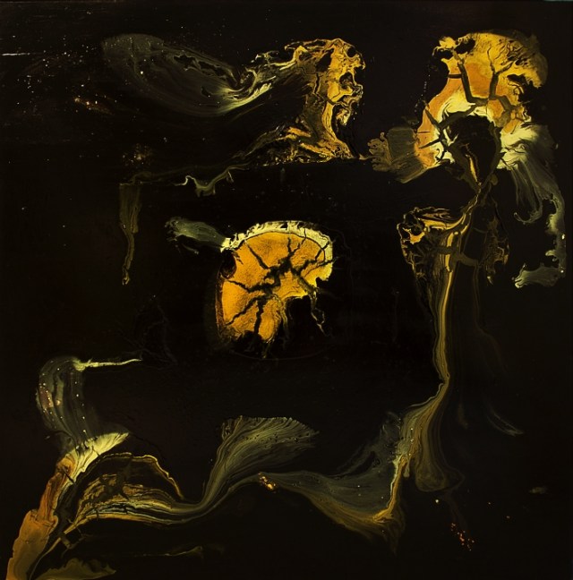 Untitled.Mesoglea_2015_Pablo_Saborio_Artist